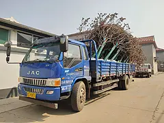 江淮 平板车 国4