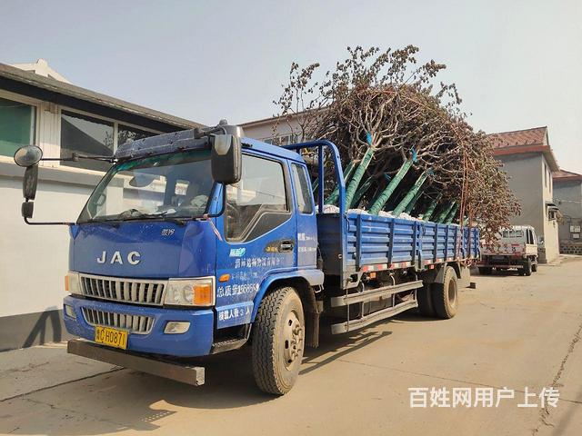 江淮 平板车 国4的图片