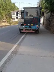 大四不像