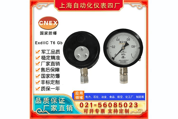 YA100氨用压力表