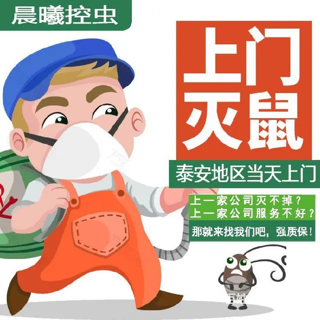 新泰市家庭除虫晨曦控虫专业团队 - 图片 5