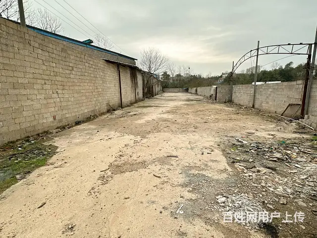 （老板本人）岳麓区含浦场地带整栋房屋出租  6167 - 图片 7