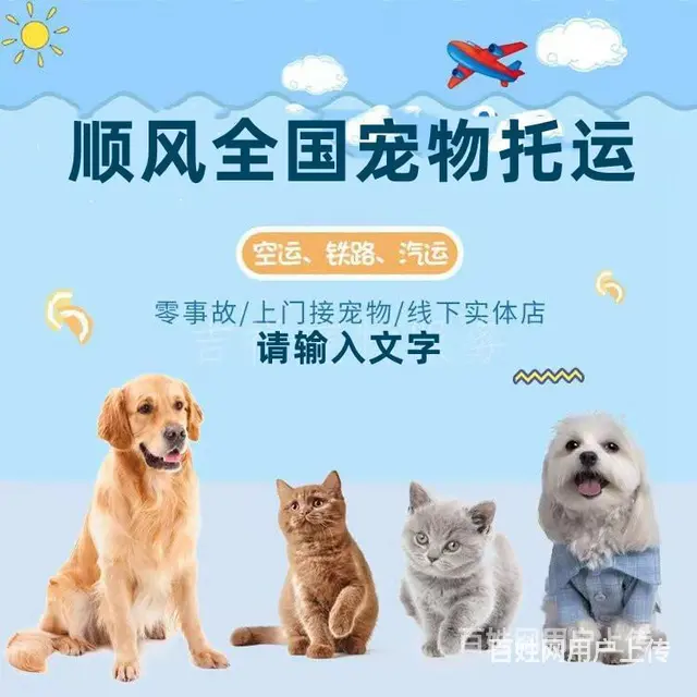 2022防城港宠物托运（猫狗）邮寄快递（宠物活体运输新*闻） - 图片 4
