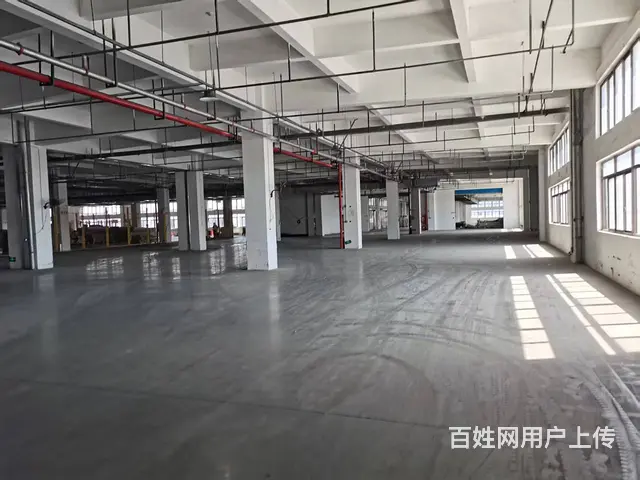 双流独栋厂房出租，9300平米/层，位置优越，价格优惠 - 图片 2