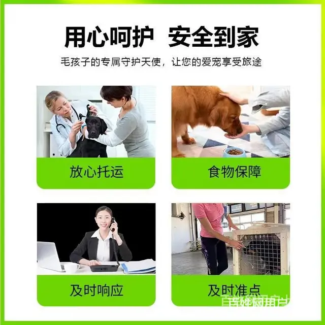 推荐） 烟台宠物托运到全国）（猫狗）邮寄快递（宠物活体运输） - 图片 1