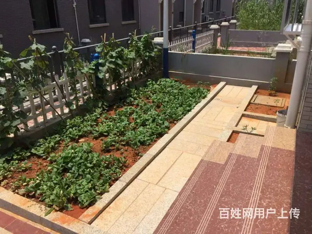 芙蓉新村新城之光对面西联新村整栋别墅出租360方4层7房全齐 - 图片 5