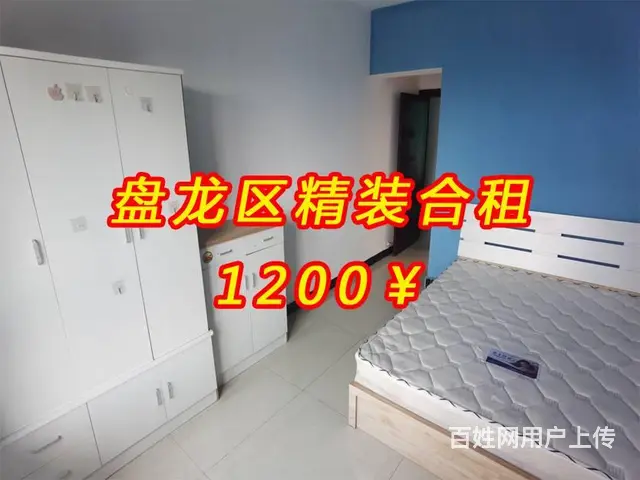 昆明全市区 公寓1厅 豪华装修 - 图片 1