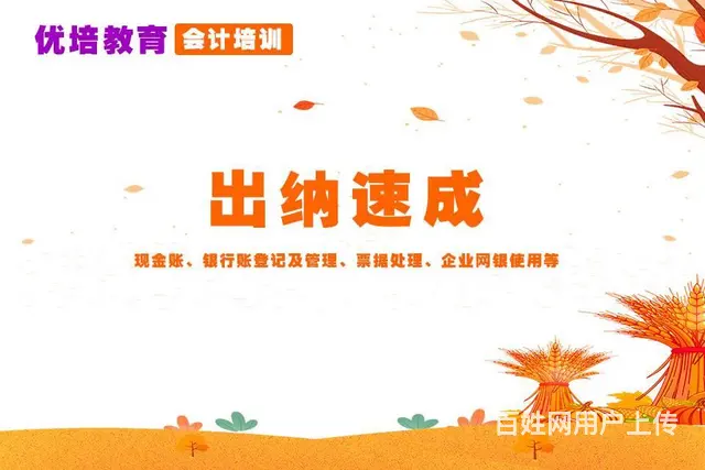 从0基础小白到会计精英，只需30天 - 图片 3