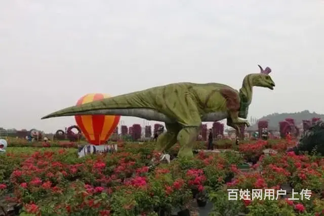 五彩田园景区房房东直租 - 图片 10