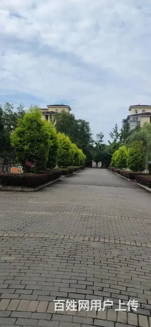 温江寿安银城花树间 - 图片 1