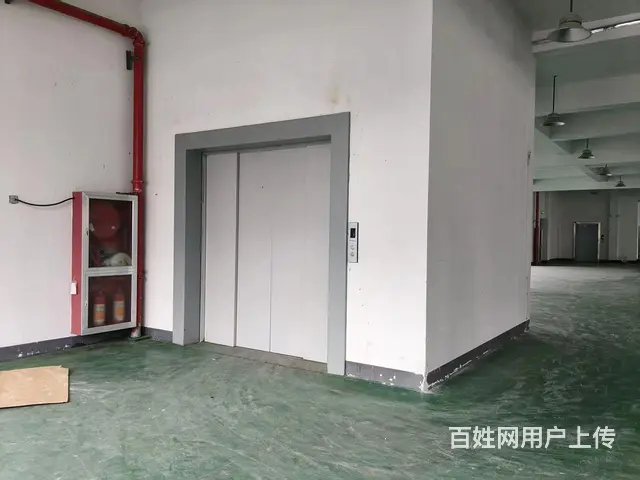 临安锦城街道单层1000方/2000方标准厂房出租 - 图片 4