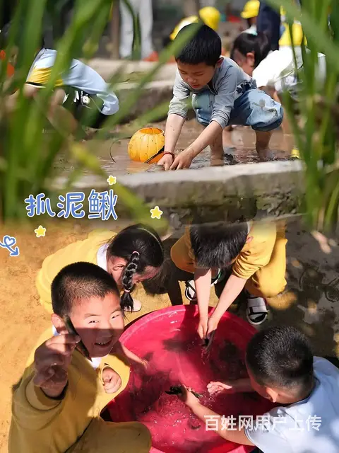 探索自然·启迪智慧广州帽峰山生态园研学之旅 - 图片 2