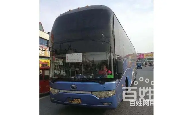 宠物运输/义乌宠物托运（宿州宠物网 - 图片 2