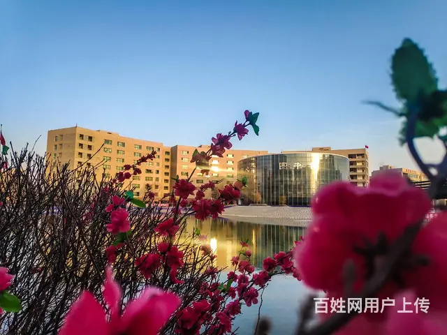甘肃北方技工学校中西式面点专业正在火热招生中 - 图片