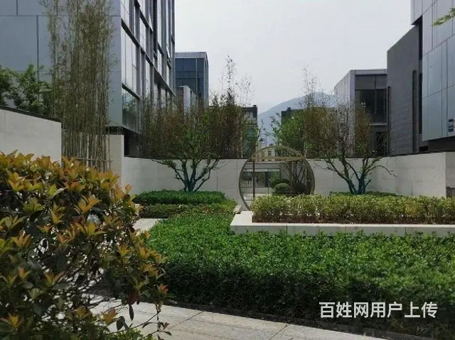 银湖科技城富春硅谷独栋商办，产证1800方送1千1百方院精装 - 图片 10