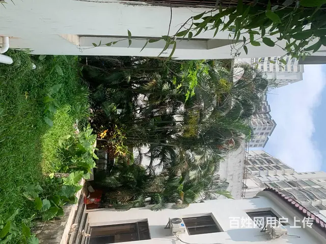 （三横王）龙昆南大润发  400平别墅出租 - 图片 6