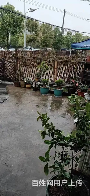 商家必争之地 店内精装修 位置优越  随时看店 - 图片 3