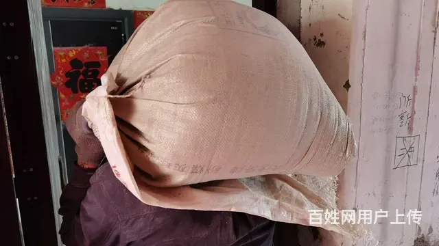 出售 沙子 水泥 红砖 河石 炉灰 空心砖 - 图片 6