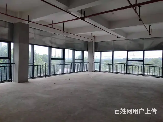 （老板本人）佳海工业园商铺/写字楼房东低价出租 - 图片 7