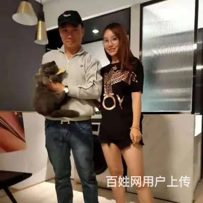 常州专业找猫寻狗宠物团队，多年的寻宠经验 - 图片 1