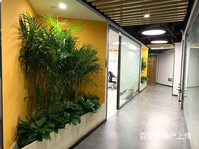 年终骨折价 后两套租完过年！80平和120平带家具包杂费拎包 - 图片 2
