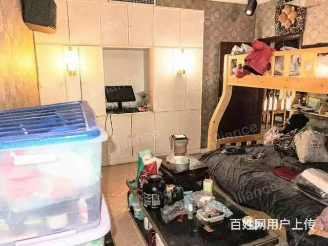 临湖别墅精装带红木家具家电 - 图片 4