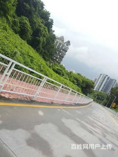 景区道路护栏 款式可定制 人行道两侧围栏 - 图片 1