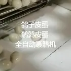 皮蛋鹌鹑皮蛋鸽子皮蛋裹腊机