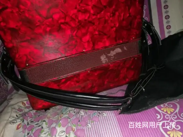 转让二手手风琴 - 图片 4