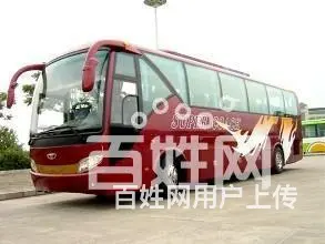 常州宠物托运怎么收费/宠物专车上门接送 - 图片 2