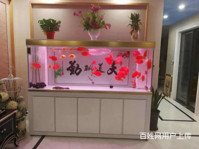 苏州玻璃鱼缸定做定制养护公司电话 - 图片 5