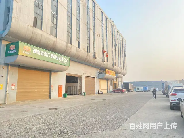 (房东直租)宁乡妙盛工业园400一1600平厂房出租，出售 - 图片 4