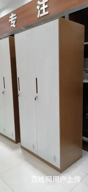钢制员工储物柜铁皮更衣柜带锁存包柜宿舍杂物鞋柜办公 - 图片 5