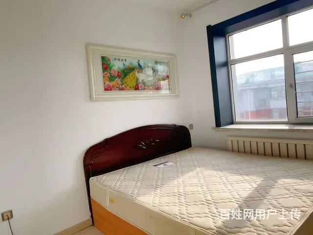 时代广场金地新城900押一付一冰箱热水器洗衣机空调 - 图片 5