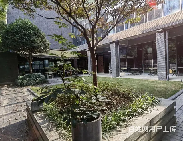 金牛 三泰魔方 园区独栋 格局可调整 带私人花园 共三层！！ - 图片 5