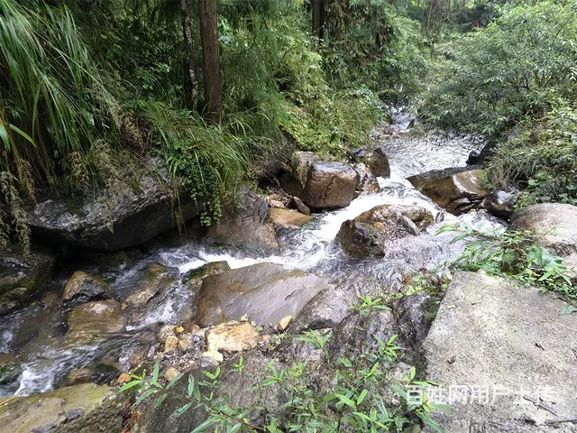 雅安芦山 一套木质农房求出租或合伙 - 图片 8