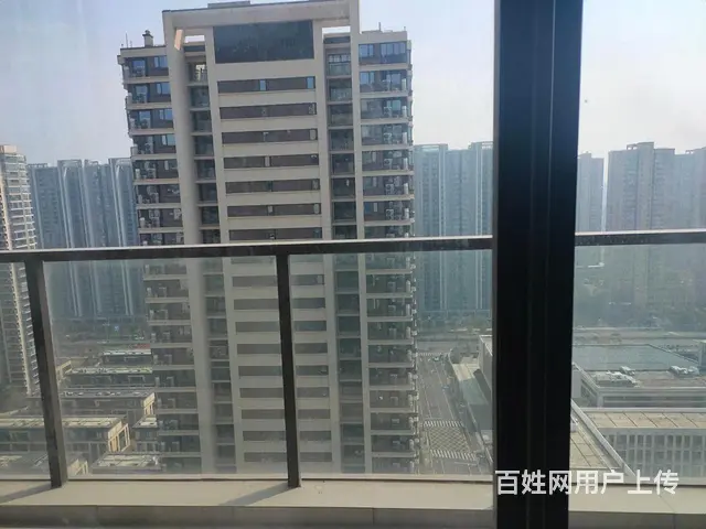 宸宇府(公寓住宅)  黄金楼层 潜力 高性价比 极品 - 图片 3