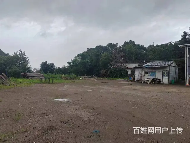 （老板本人）长沙县东八线附近独门独院场地优价出租  6557 - 图片 3
