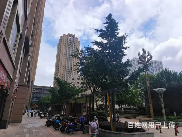 4091（爆铺网）零食和货架转让 - 图片 8