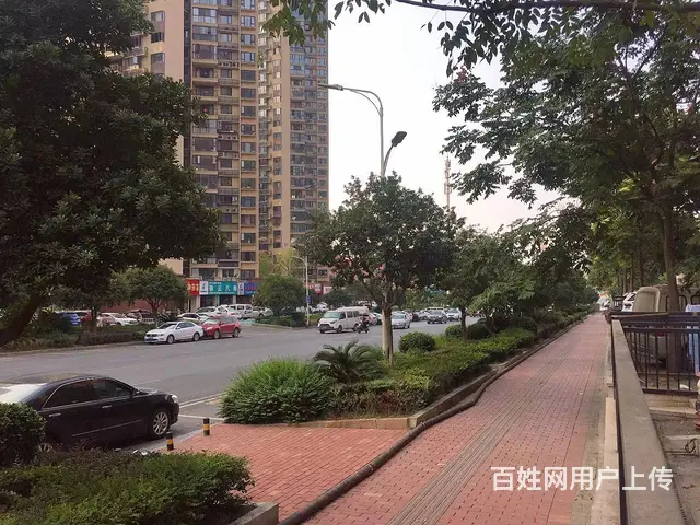 （老板本人）（5万整转）万人小区临街品牌干洗店见钱就转 - 图片 9