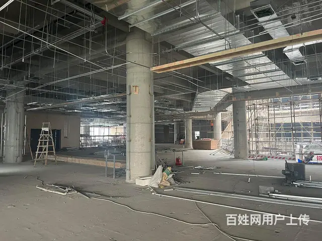 专业改造平房，别墅，厂房 - 图片 1