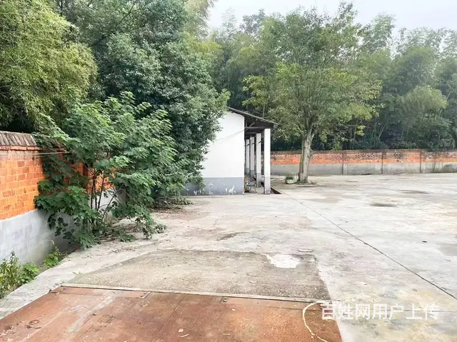 （老板本人）望城区独门独院厂房/仓库房东直租  6030 - 图片 7