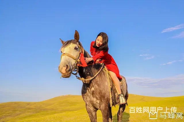 呼伦贝尔旅游包车哪家好巴特尔好 - 图片 1