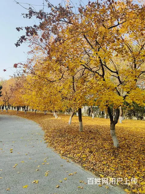 给你幸福 - 图片