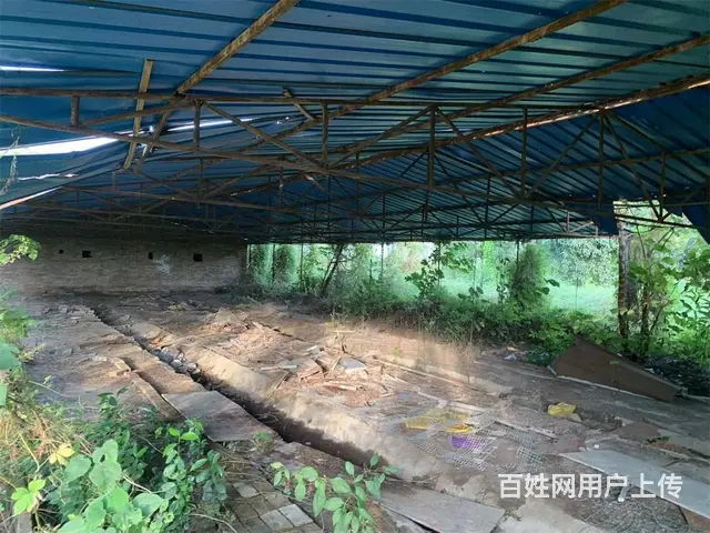 广汉西高镇5亩土地+库房出租 - 图片 7