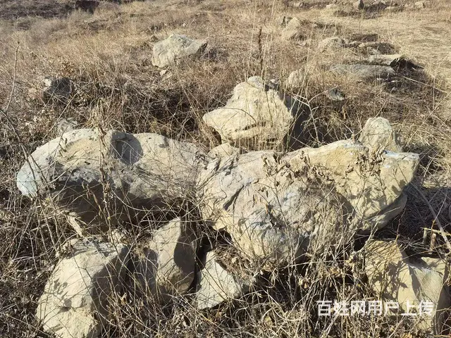 绿色大石头 - 图片 2