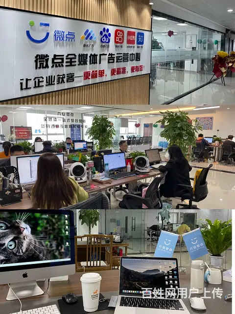 互联网广告投放代理加盟，六安市微点信息全国招代理 - 图片 3