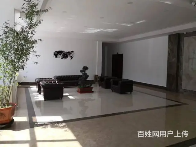 哈南第十二大道精装修办公楼出租 - 图片 3