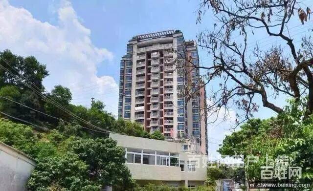 坂田统建楼【海发大厦】花园12000起送精装修