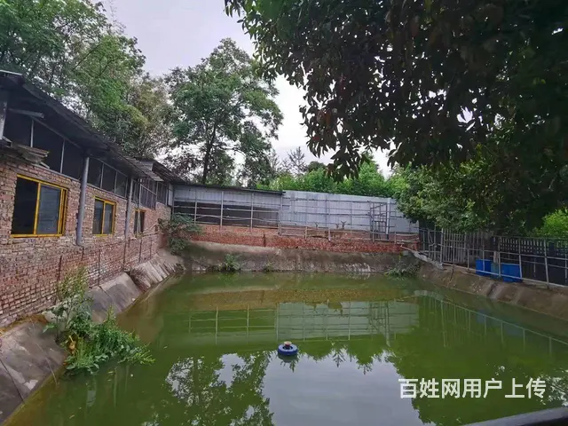 旺铺居）特色农家乐对外出租转让或合作周边环境优美 - 图片 10
